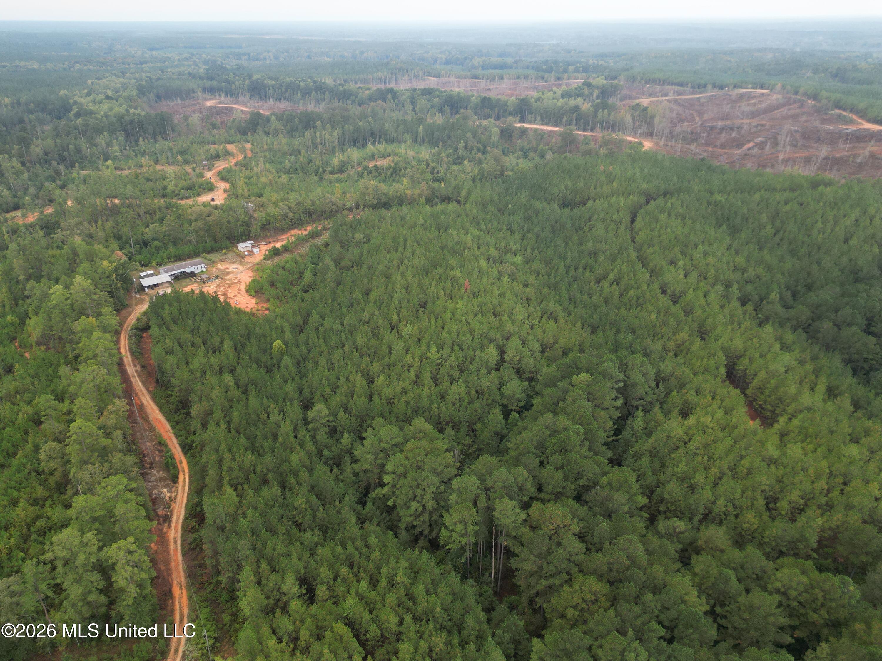 1015 St Anne Road Carthage, MS 39051 - Photo 21 of 45 DJI_0298
