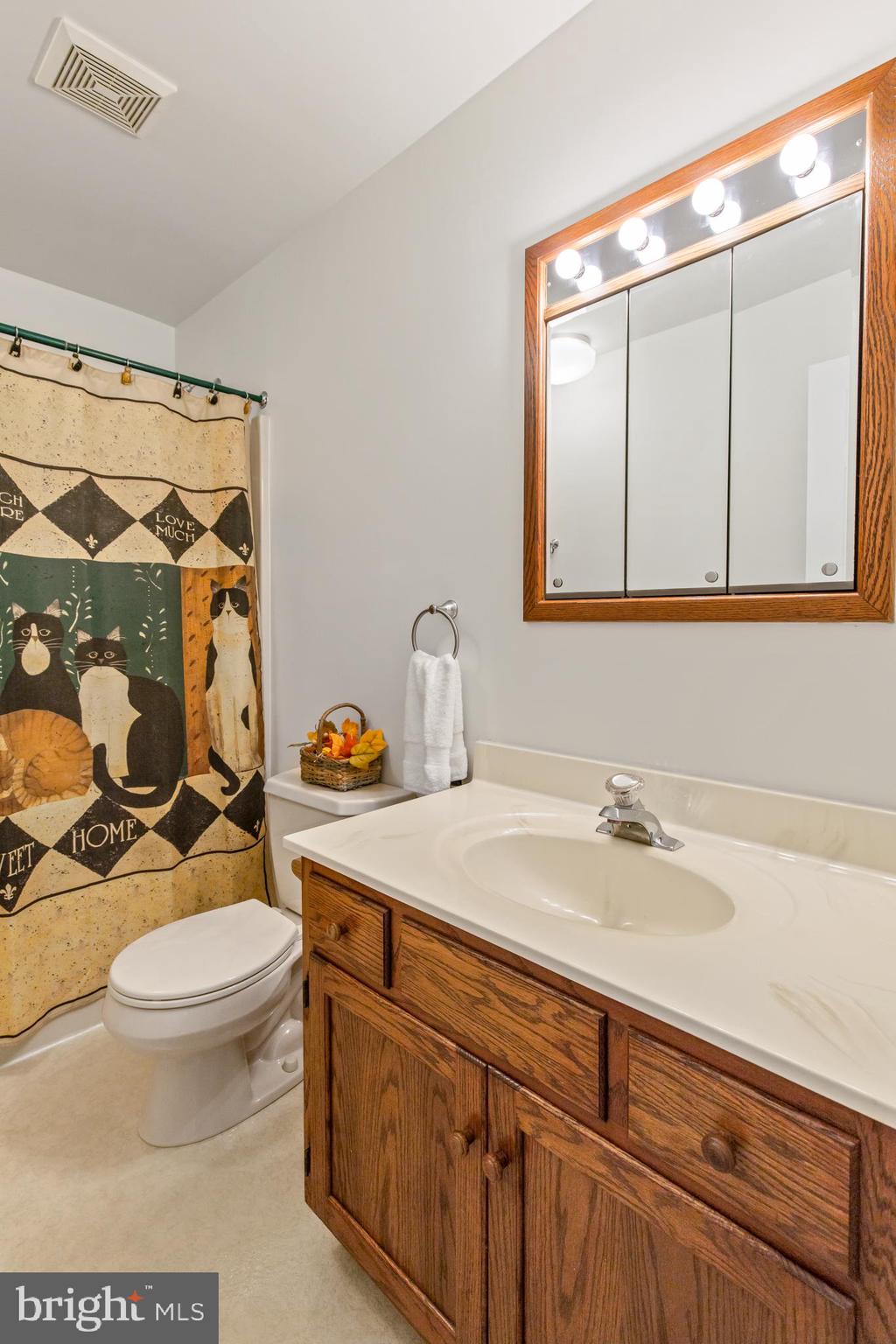 205 Run Valley Road Conestoga, PA 17516 - Photo 29 of 40 Bathroom