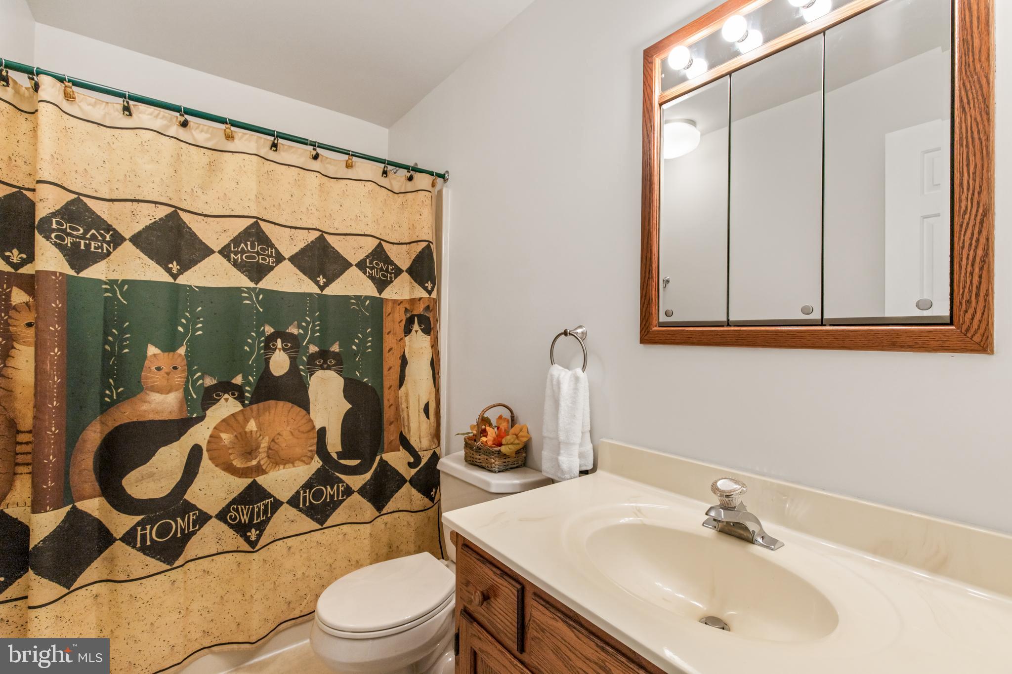 205 Run Valley Road Conestoga, PA 17516 - Photo 30 of 40 Bathroom