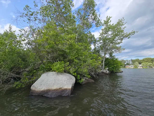 a bench is sitting in the middle of a backyard