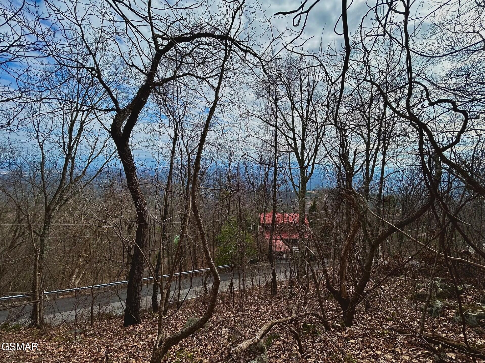 2373 Bluff Mountain Road Sevierville, TN 37862 - Photo 1 of 1 Gallery Image 1