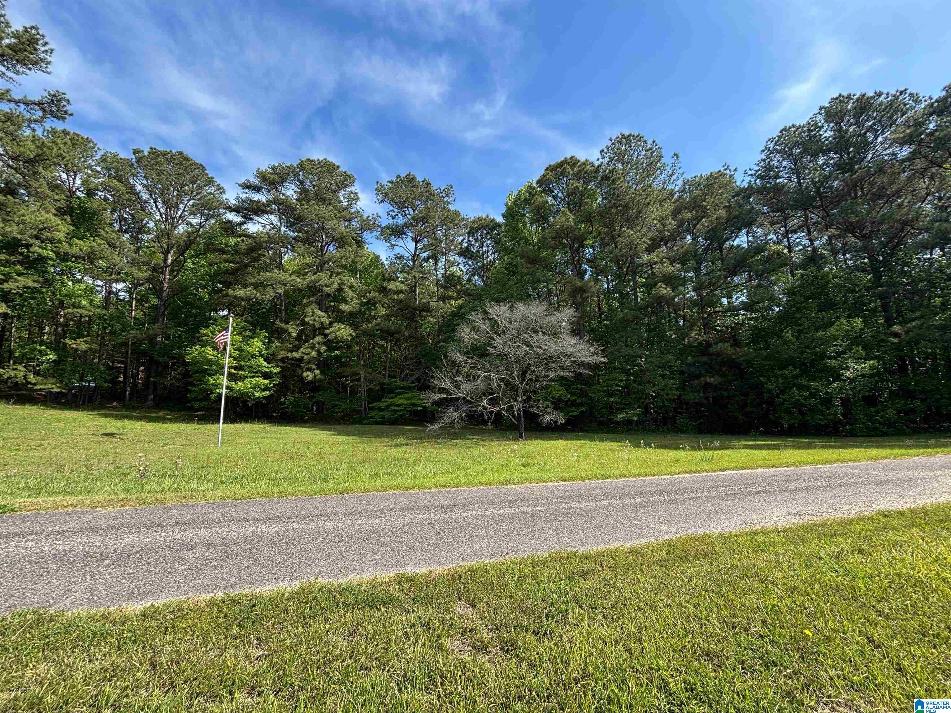 0 Old Sawmill Road, Unit 1 72 / ACRES Moody, AL 35004 - Photo 4 of 6