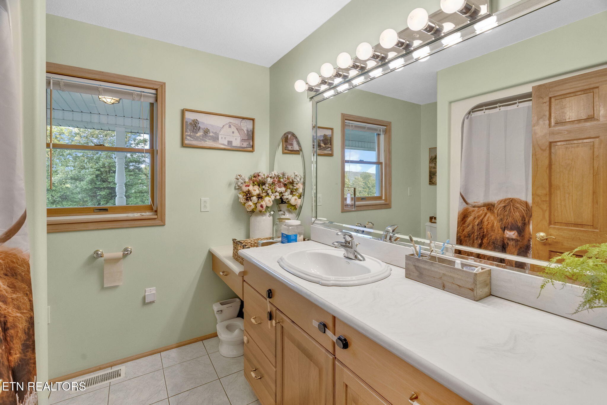 596 Clifty Creek Road Oakdale, TN 37829 - Photo 23 of 60 a bathroom with a sink mirror and vanity
