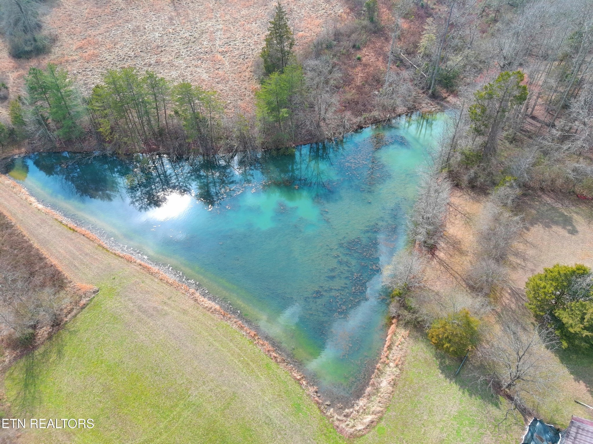 596 Clifty Creek Road Oakdale, TN 37829 - Photo 39 of 60 a view of a lake from a yard