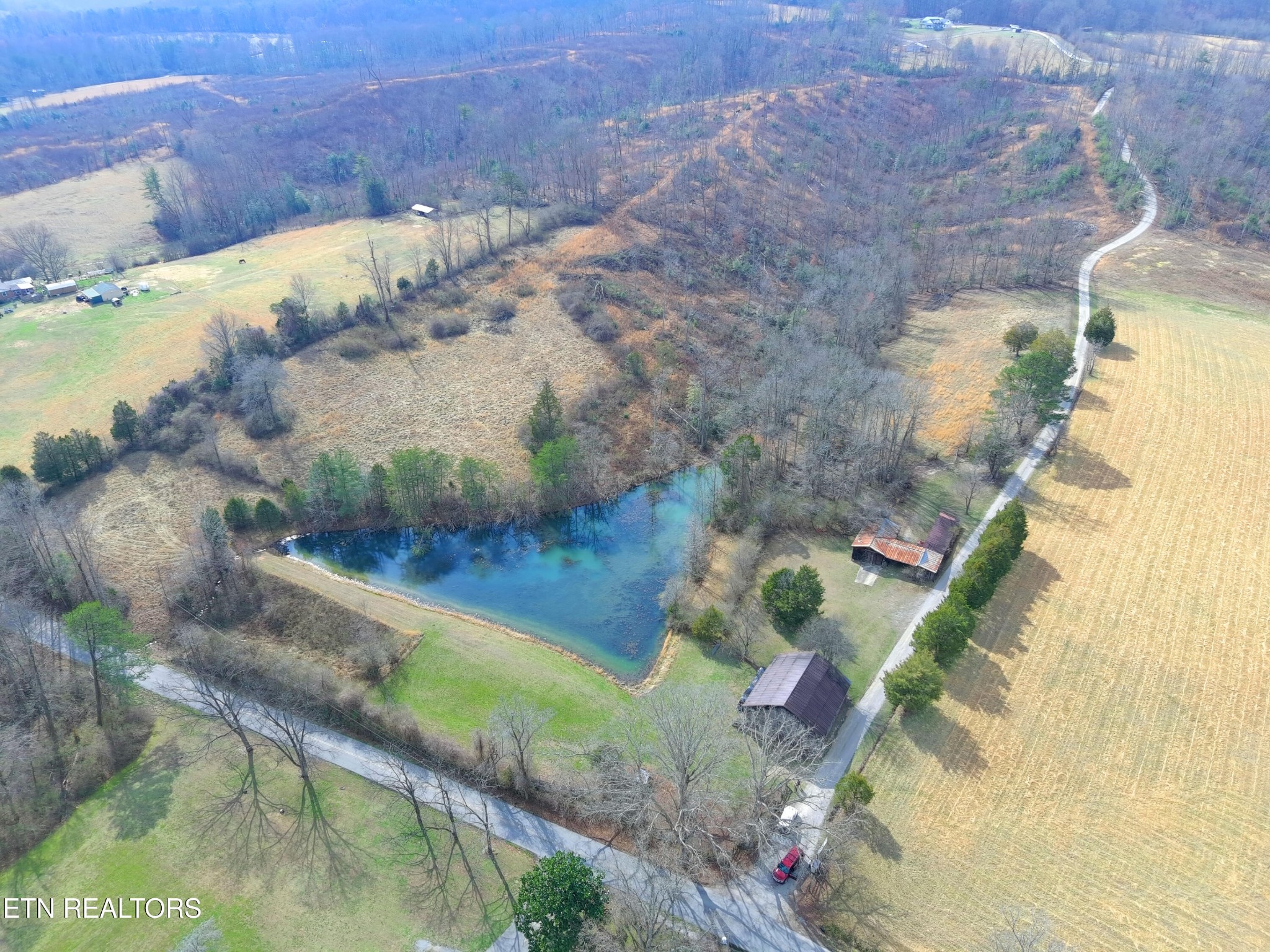 596 Clifty Creek Road Oakdale, TN 37829 - Photo 41 of 60