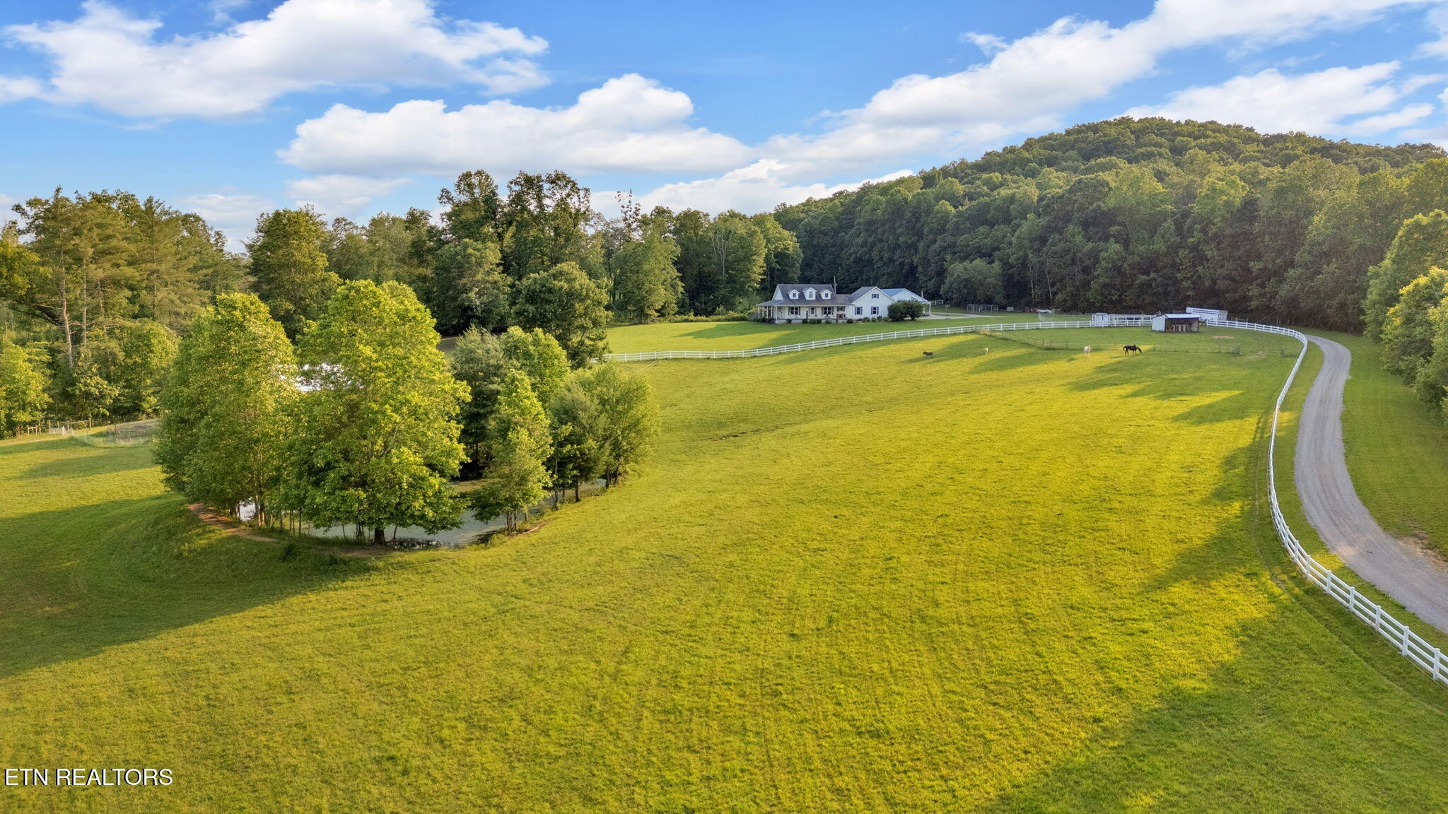 596 Clifty Creek Road Oakdale, TN 37829 - Photo 42 of 60 a view of swimming pool