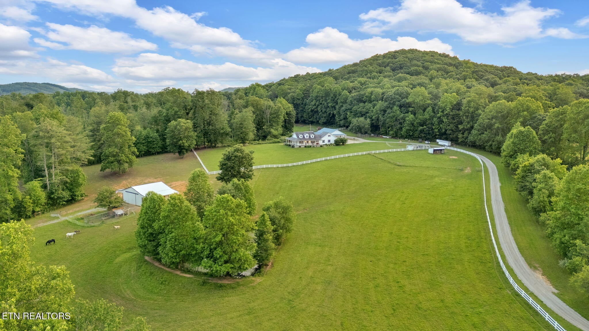 596 Clifty Creek Road Oakdale, TN 37829 - Photo 51 of 60 a view of a lake with a mountain
