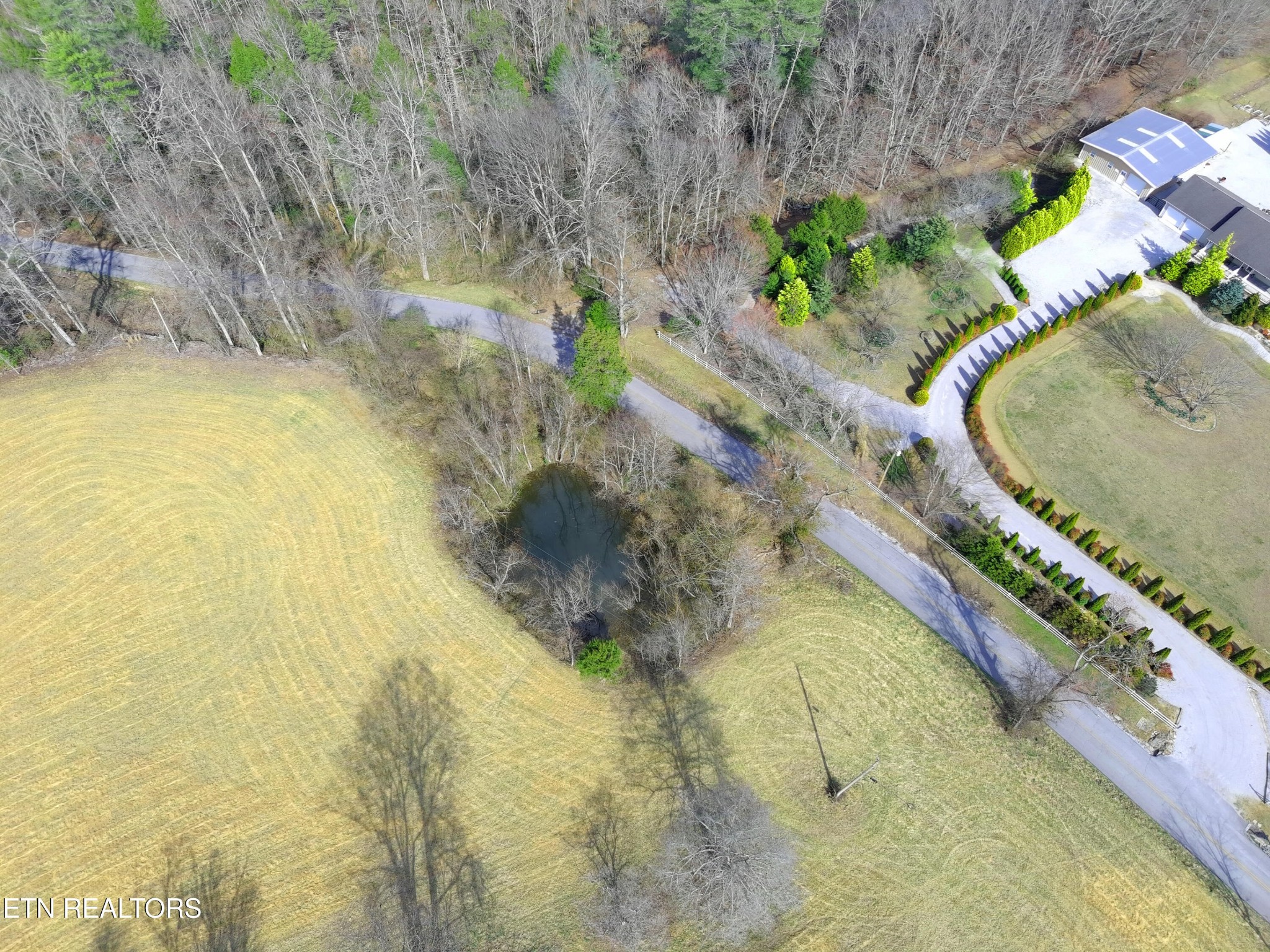 596 Clifty Creek Road Oakdale, TN 37829 - Photo 52 of 60 a view of a swimming pool with a yard