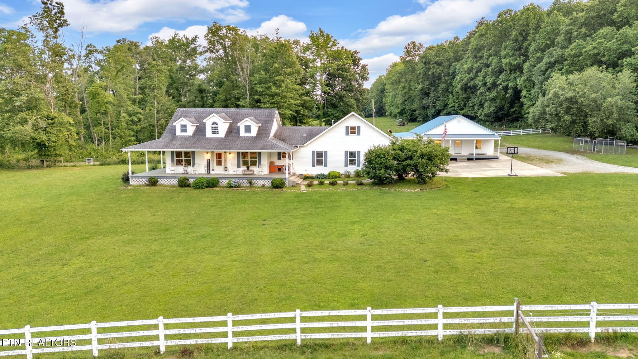 596 Clifty Creek Road Oakdale, TN 37829 - Photo 53 of 60 a view of a house with a big yard and large trees