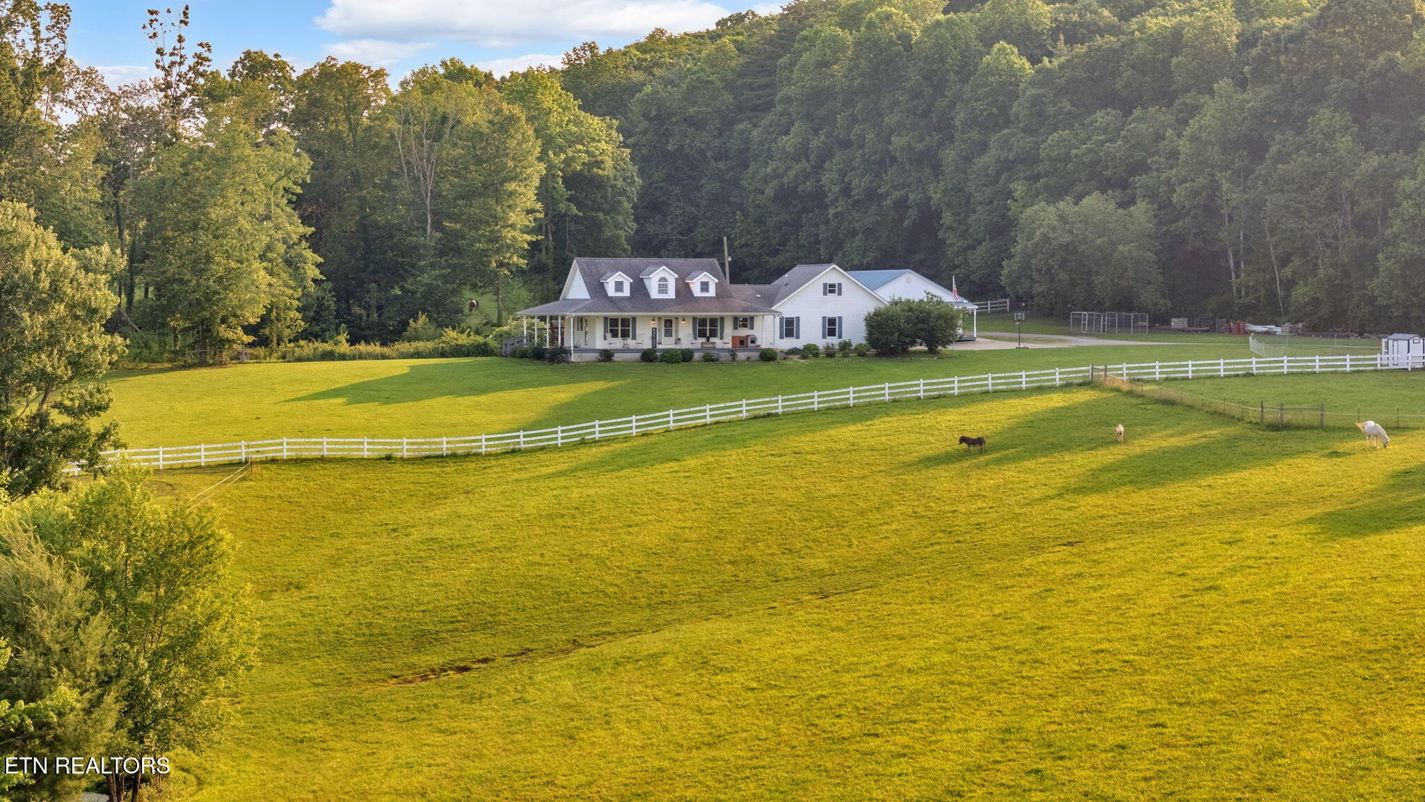 596 Clifty Creek Road Oakdale, TN 37829 - Photo 57 of 60 a view of an outdoor space and swimming pool