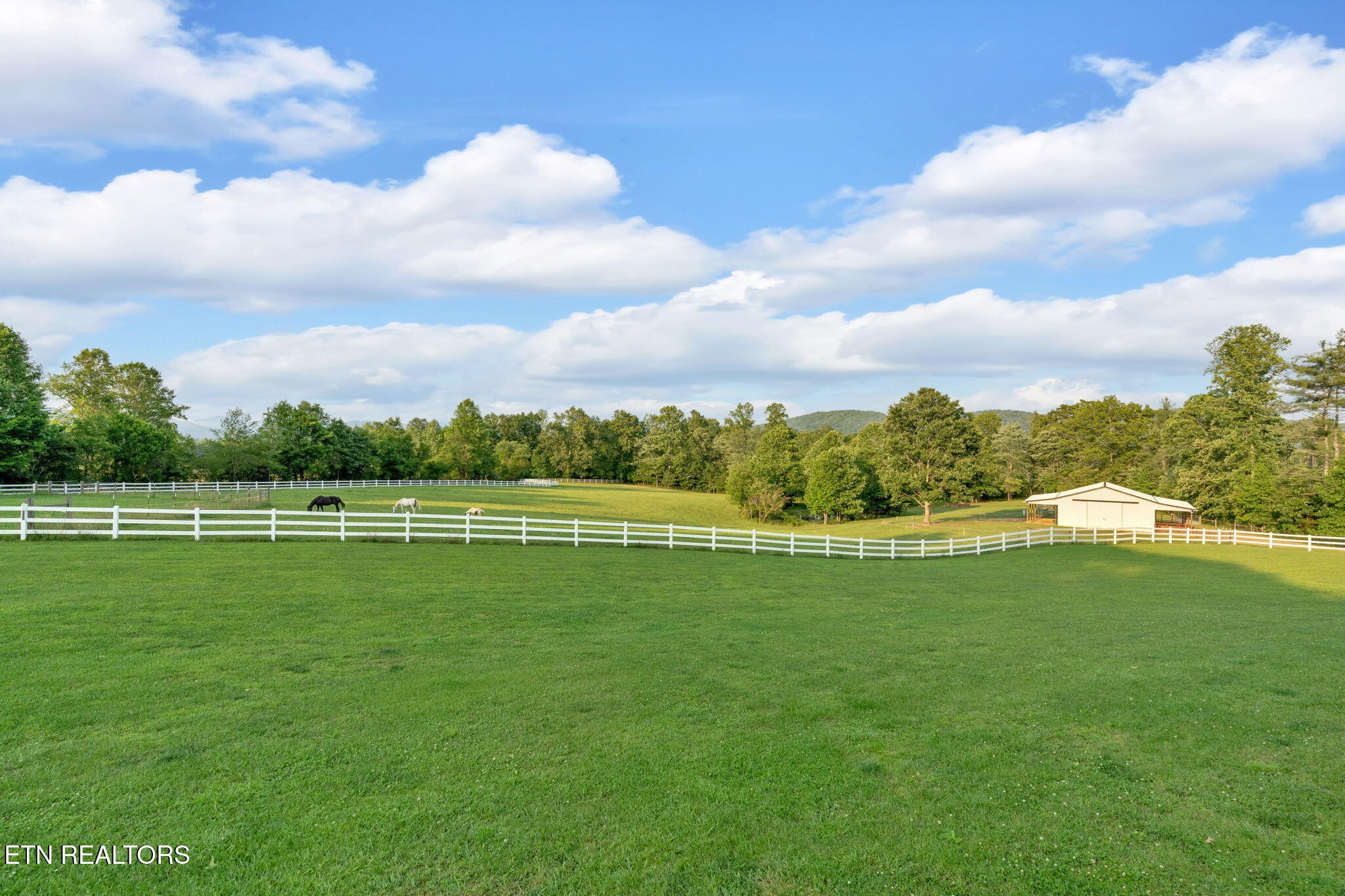 596 Clifty Creek Road Oakdale, TN 37829 - Photo 59 of 60 a view of a golf course with a lake