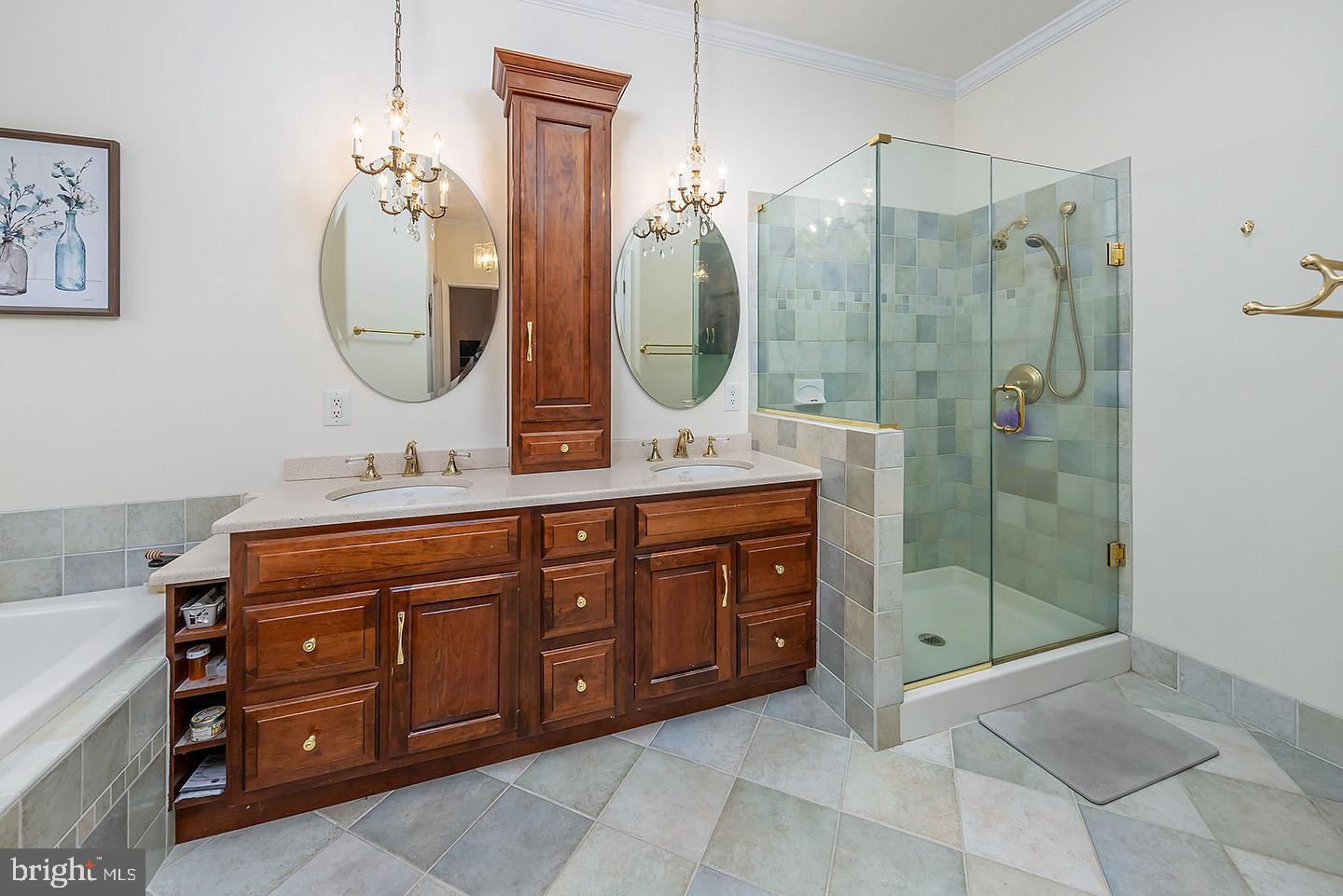 20 Eagle Drive Mullica Hill, NJ 08062 - Photo 18 of 40 Frameless tiled shower!