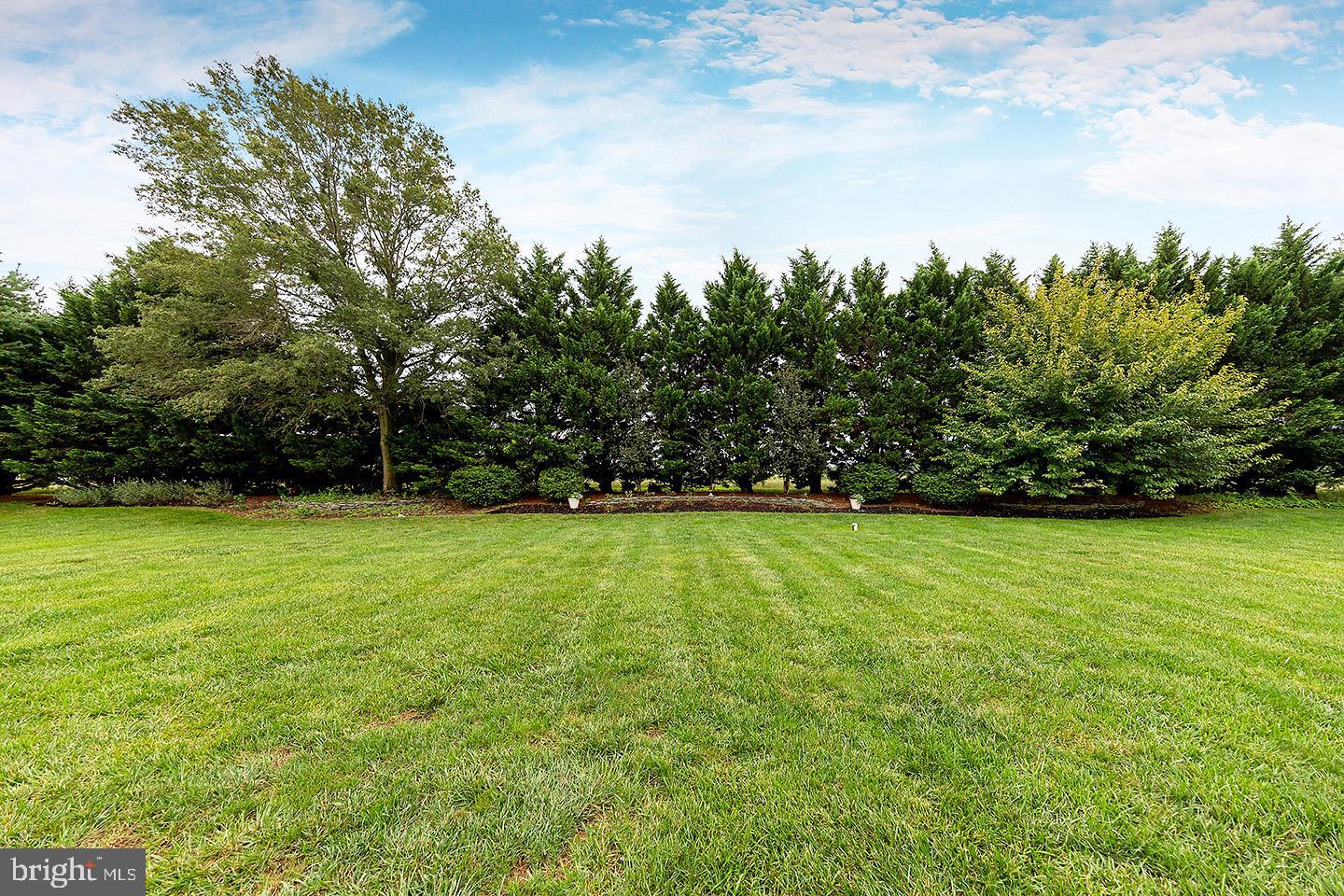 20 Eagle Drive Mullica Hill, NJ 08062 - Photo 32 of 40 Lovely tree lined yard!