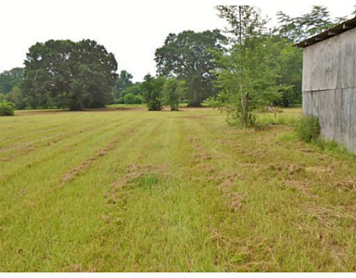 Ben Eubanks Road Lucedale, MS 39452 - Photo 6 of 9 Additional Photo