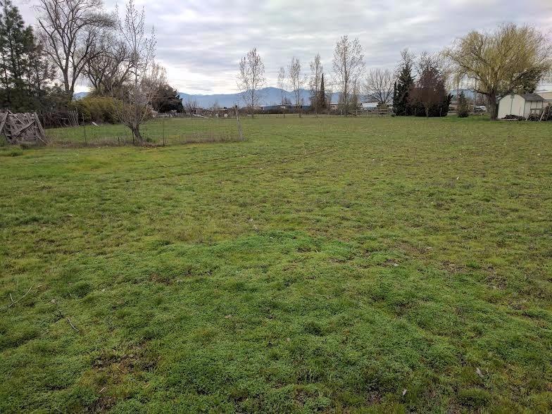 576 Maverick Street Central Point, OR 97502 - Photo 8 of 13 Huge pasture