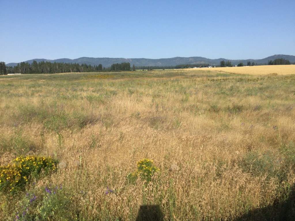 34505 North Spotted Road Deer Park, WA 99006 - Photo 2 of 11 Gallery Image 2