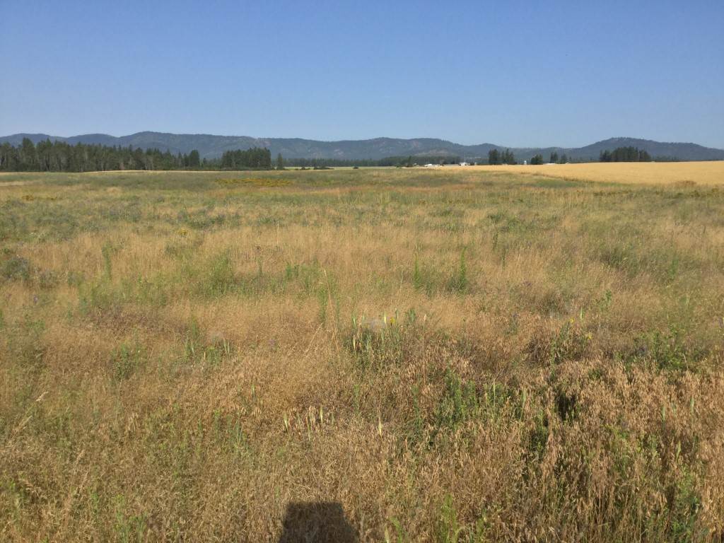 34505 North Spotted Road Deer Park, WA 99006 - Photo 11 of 11 Gallery Image 11