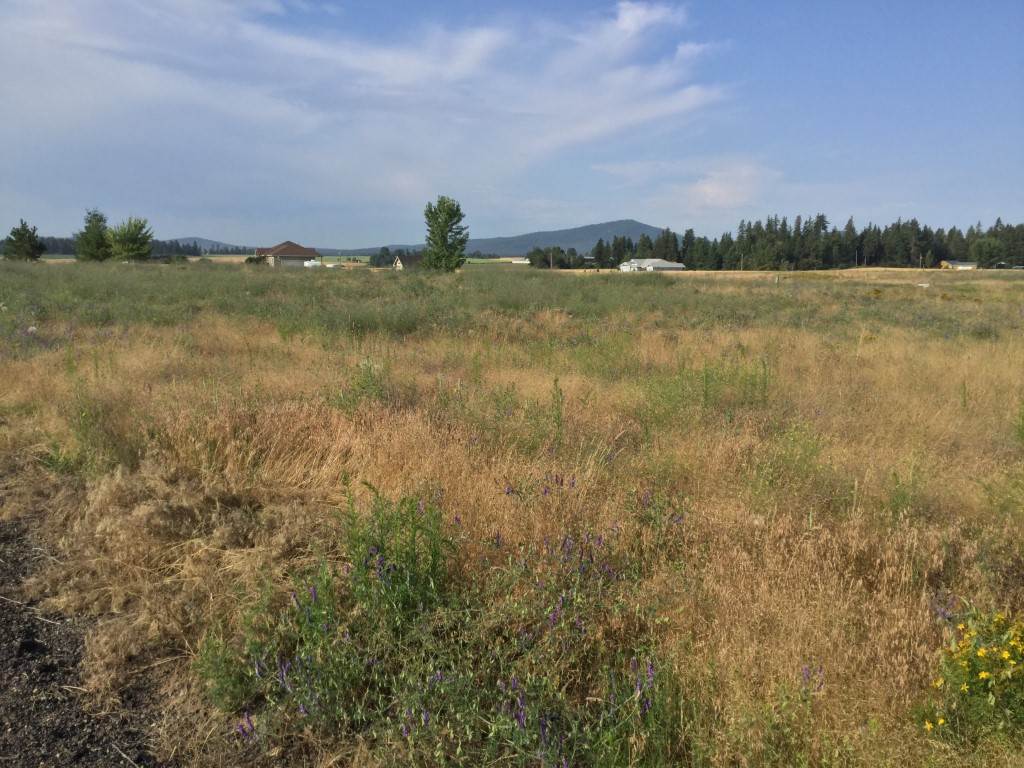 34505 North Spotted Road Deer Park, WA 99006 - Photo 8 of 11 Gallery Image 8