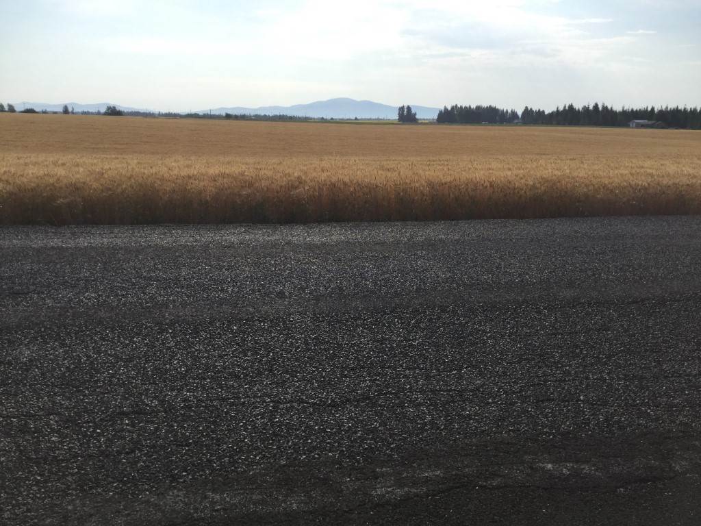 34505 North Spotted Road Deer Park, WA 99006 - Photo 10 of 11 Gallery Image 10