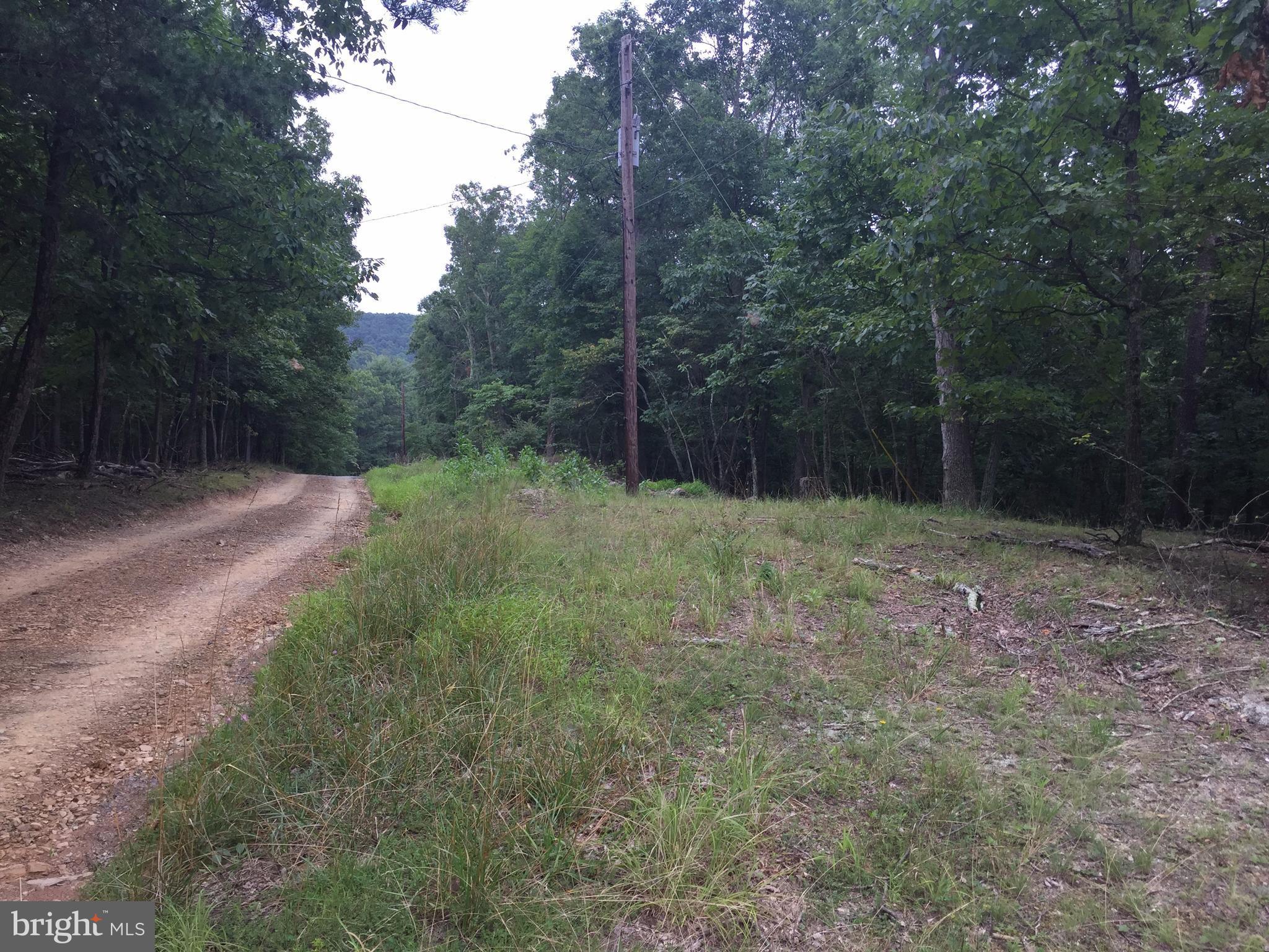 Deer Run Road Berkeley Springs, WV 25411 - Photo 1 of 14 a view of a field with trees in the background