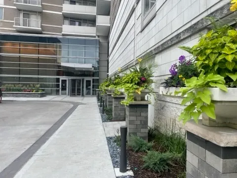 a flower plants in front of a building