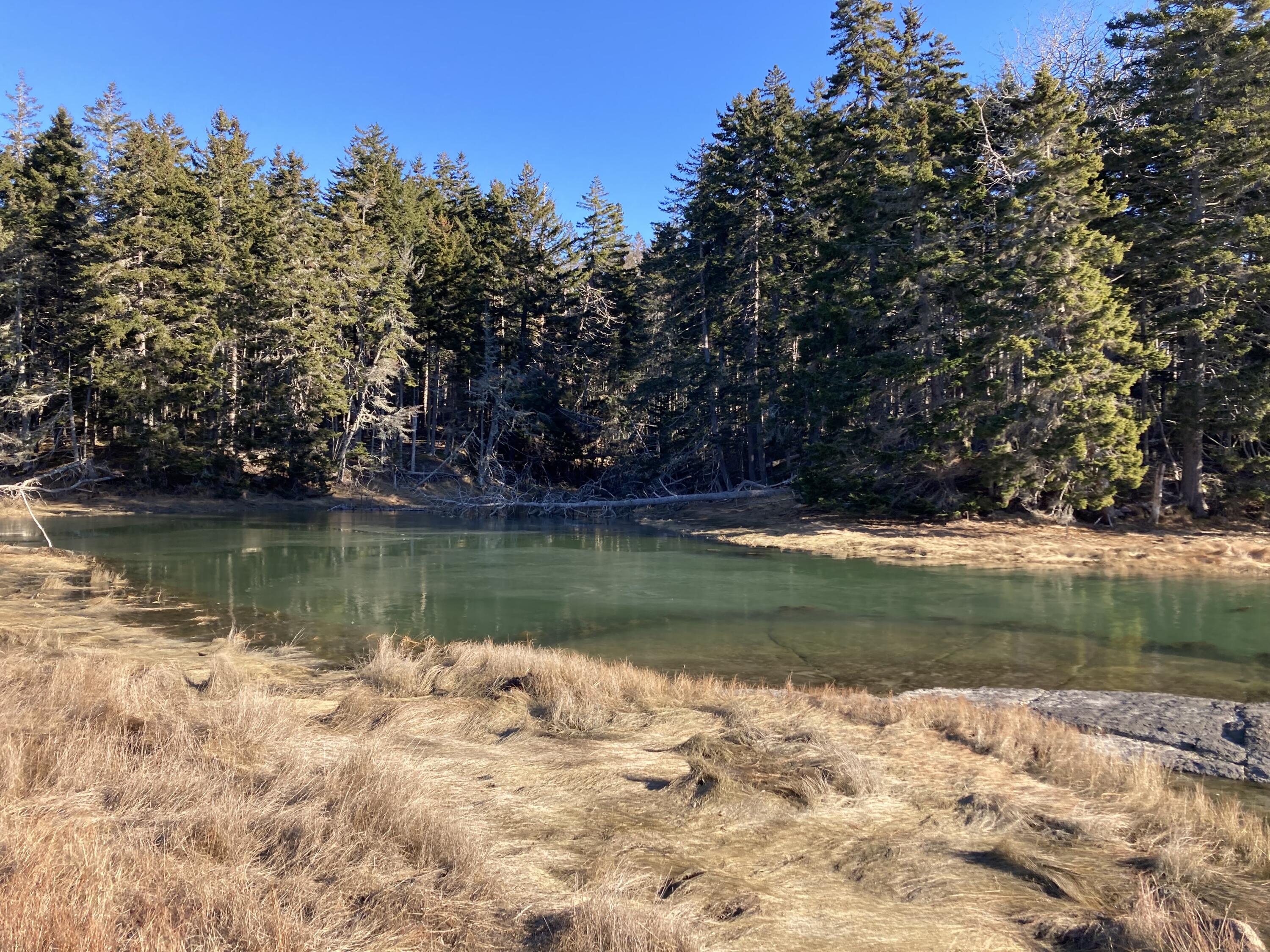 349 Oceanville Road Stonington, ME 04681 - Photo 10 of 16 Estuary from cove along waterfront.