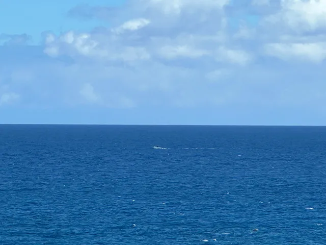 a patio with table and chairs
