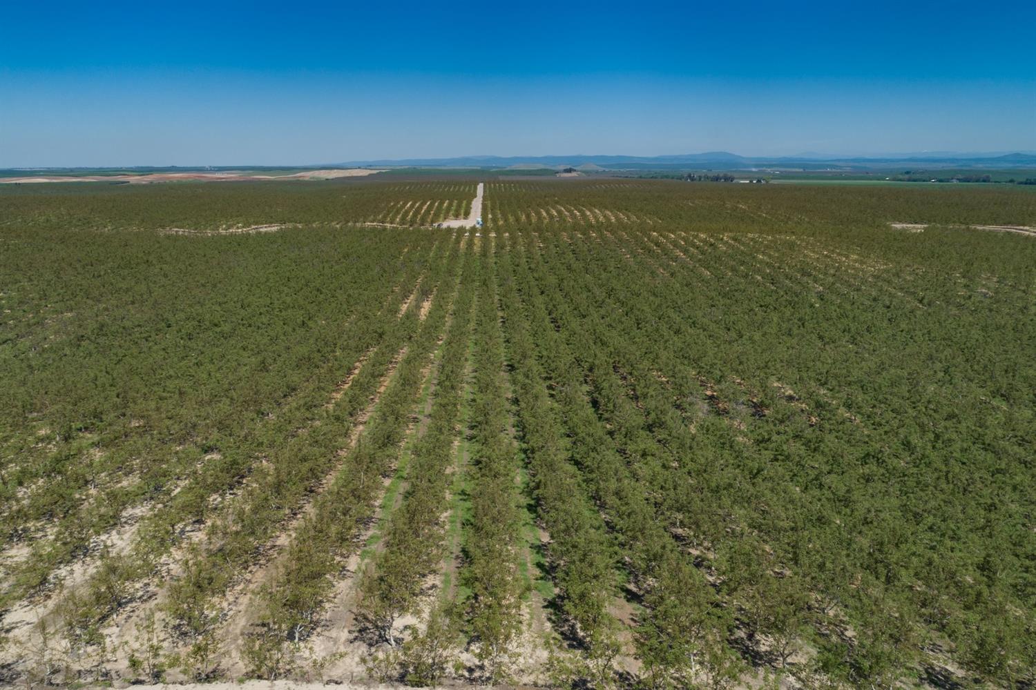 14954 Tim Bell Road Waterford, CA 95386 - Photo 15 of 28 a view of an ocean