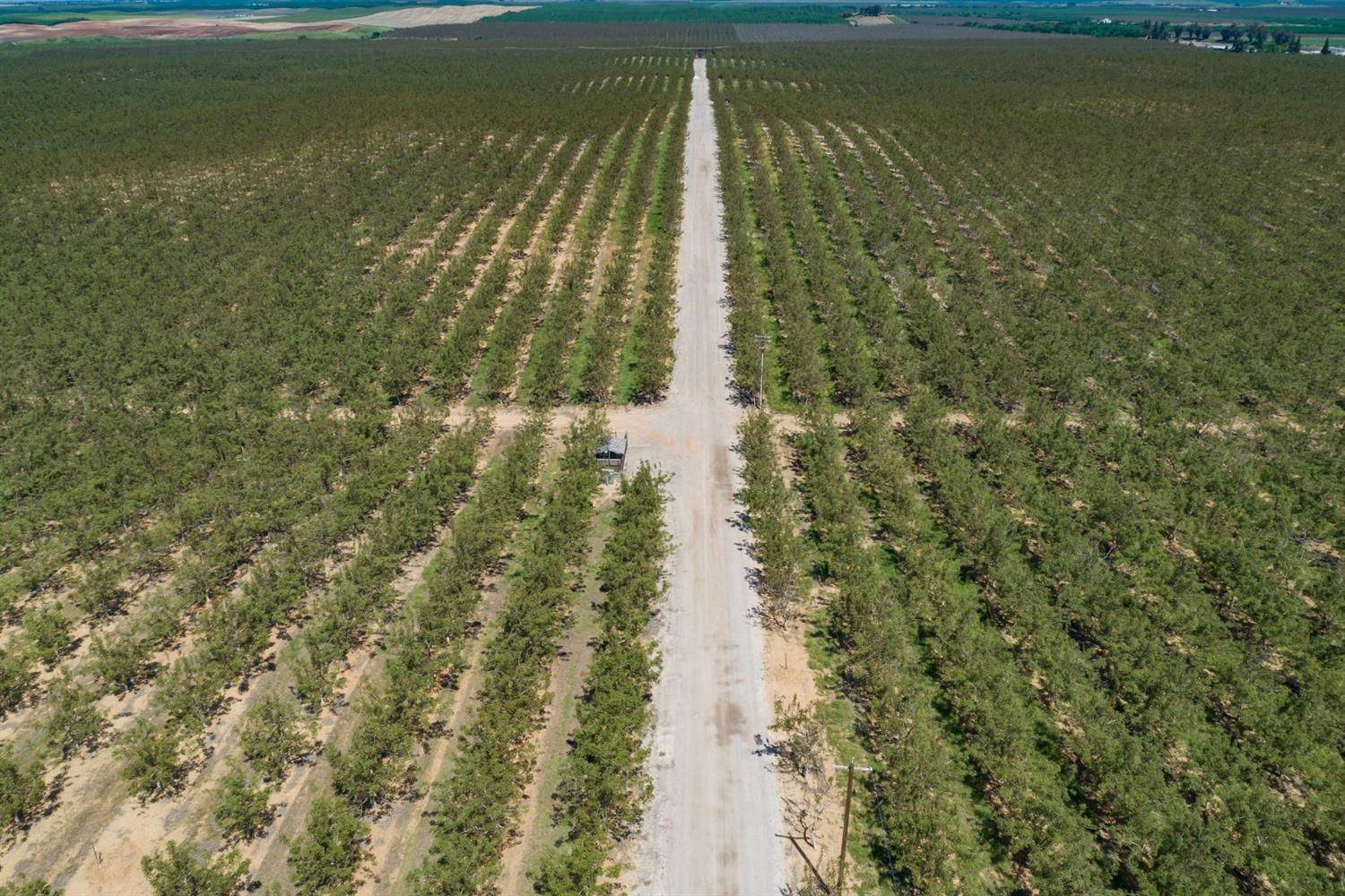 14954 Tim Bell Road Waterford, CA 95386 - Photo 16 of 28 a view of a lake with a garden