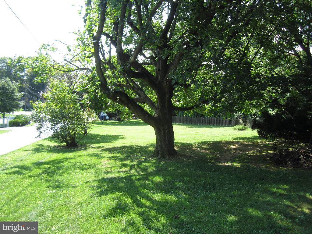 601 Washington Road Westminster, MD 21157 - Photo 18 of 23 Backyard