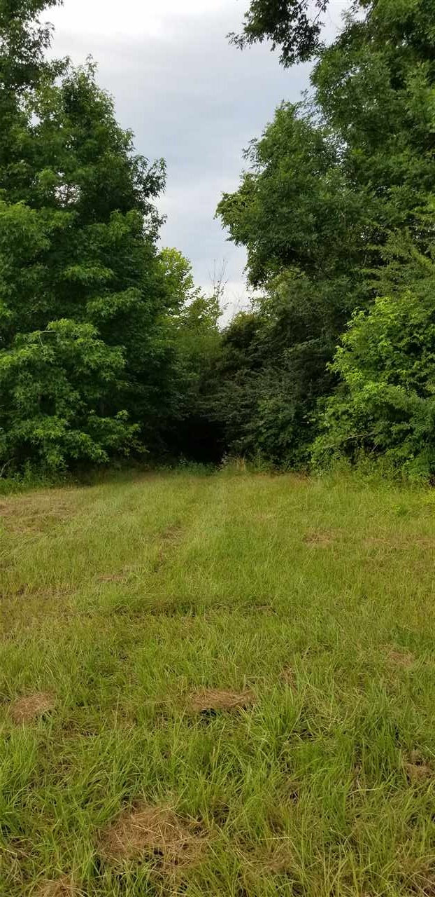 0 Sugar Farm Road Hazlehurst, MS 39083 - Photo 2 of 6 Photo 2
