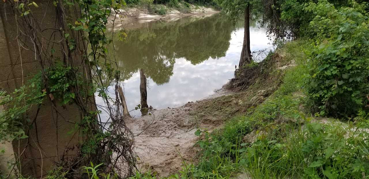 0 Sugar Farm Road Hazlehurst, MS 39083 - Photo 5 of 6 Photo 5