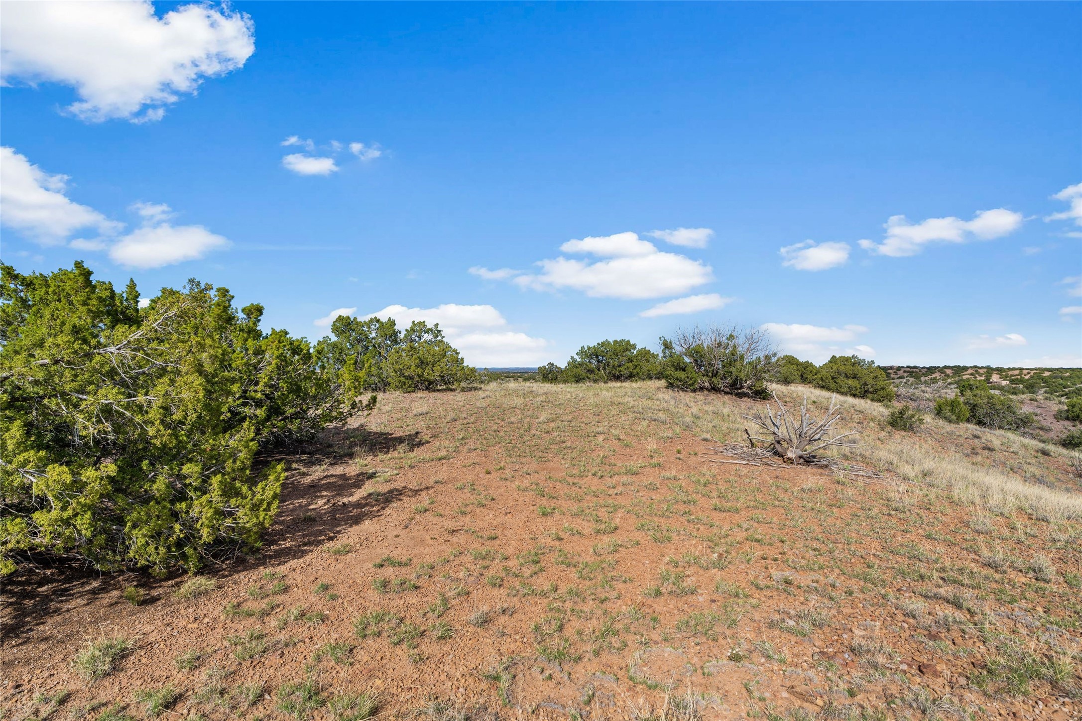 31 Gallina Road Santa Fe, NM 87508 - Photo 19 of 19