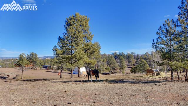 551 Apache Road Florissant, CO 80816 - Photo 3 of 36 Gallery Image 3