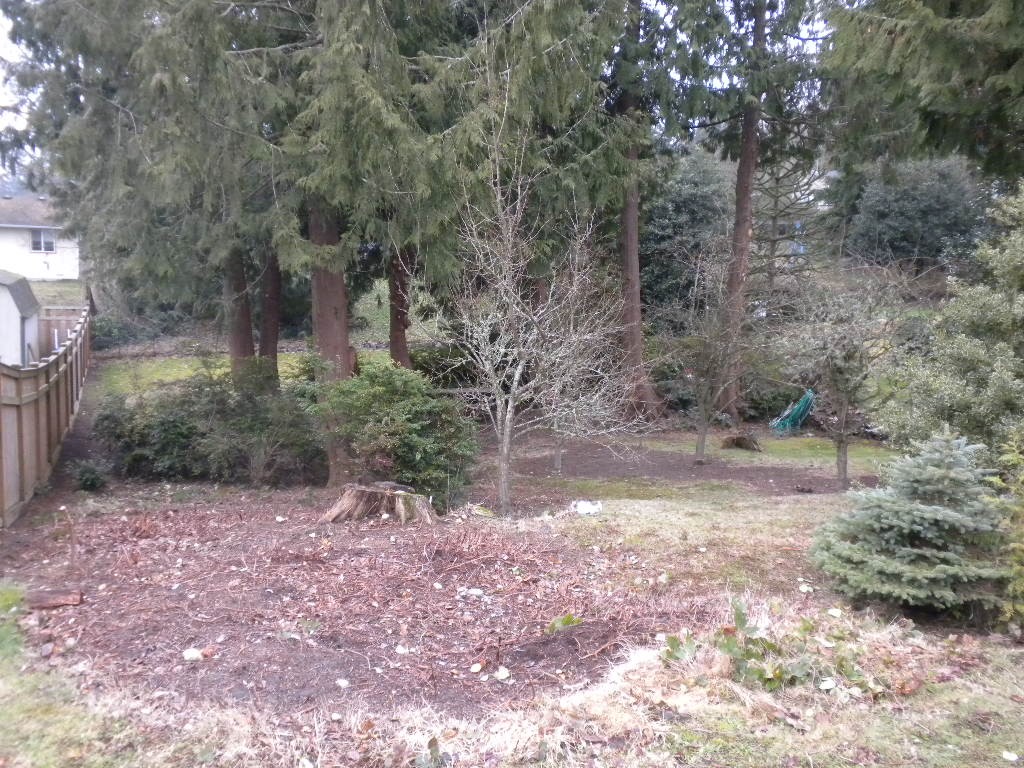 7298 East Collins Road Port Orchard, WA 98366 - Photo 5 of 15 Gallery Image 5