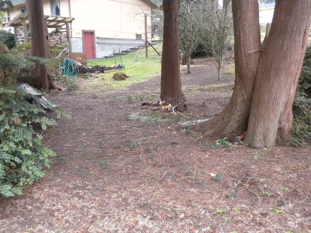 7298 East Collins Road Port Orchard, WA 98366 - Photo 9 of 15 Gallery Image 9