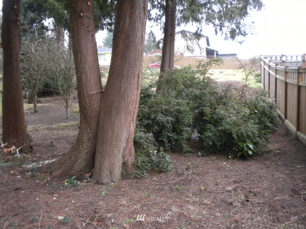 7298 East Collins Road Port Orchard, WA 98366 - Photo 10 of 15 Gallery Image 10
