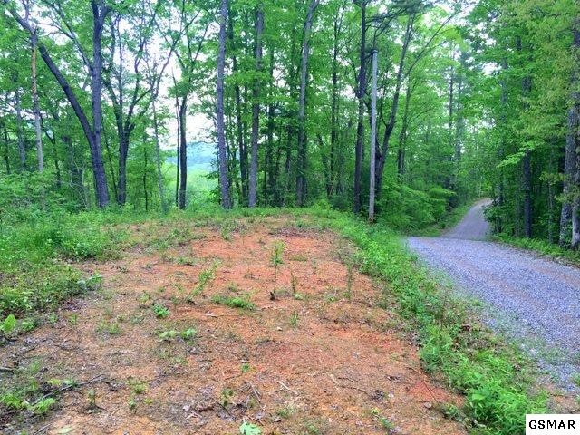 5 Journeys End Road Walland, TN 37886 - Photo 8 of 17 Gallery Image 8