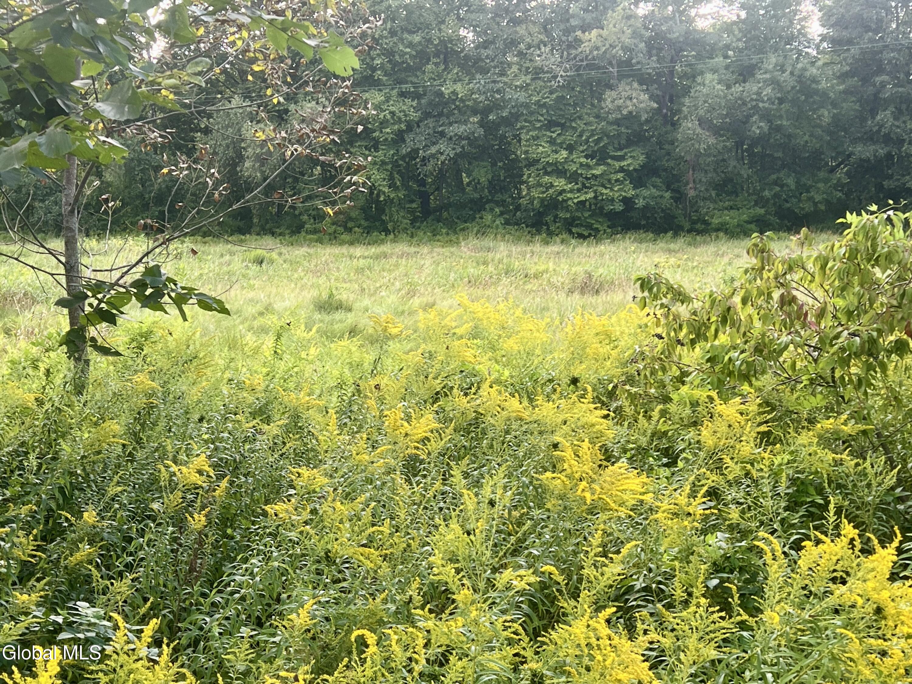 1425 West River Road Gansevoort, NY 12831 - Photo 4 of 12 IMG_1499