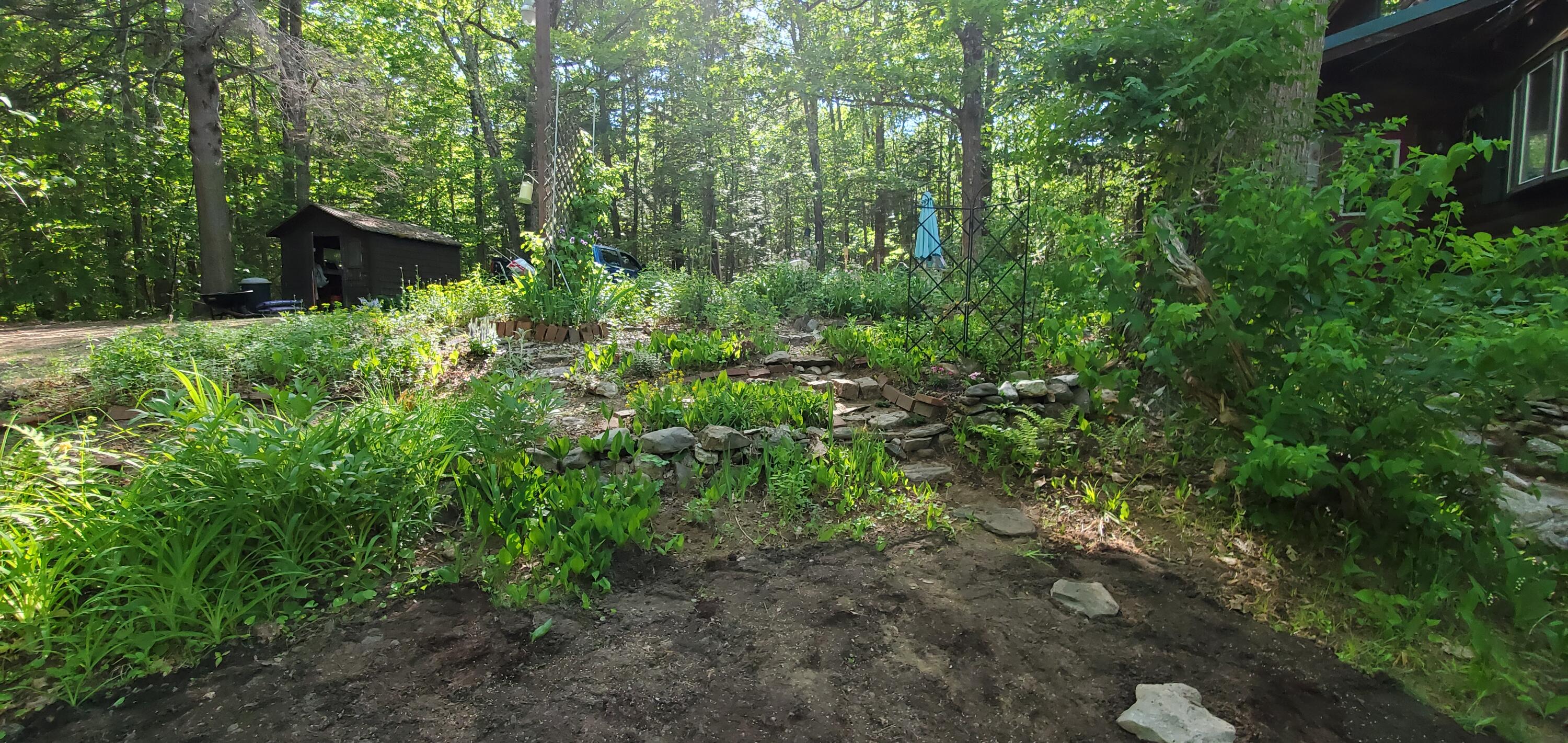 85 S Road Livermore, ME 04253 - Photo 50 of 80 Summer Yard
