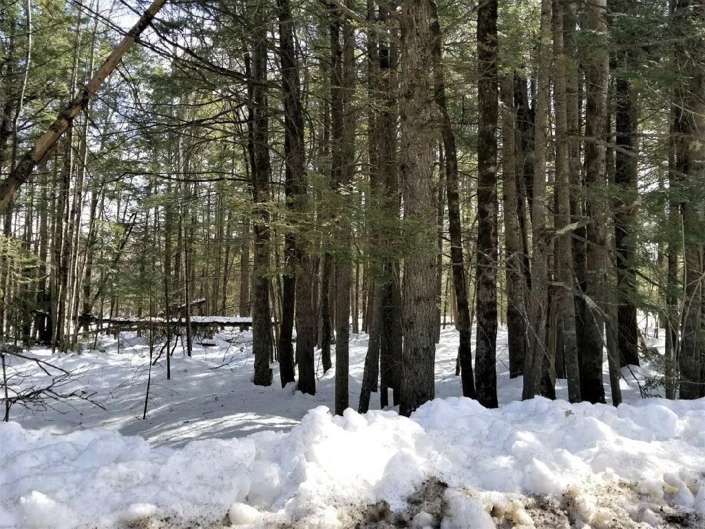 M4-l34-j McNally Road Clinton, ME 04927 - Photo 9 of 18 Nicely wooded