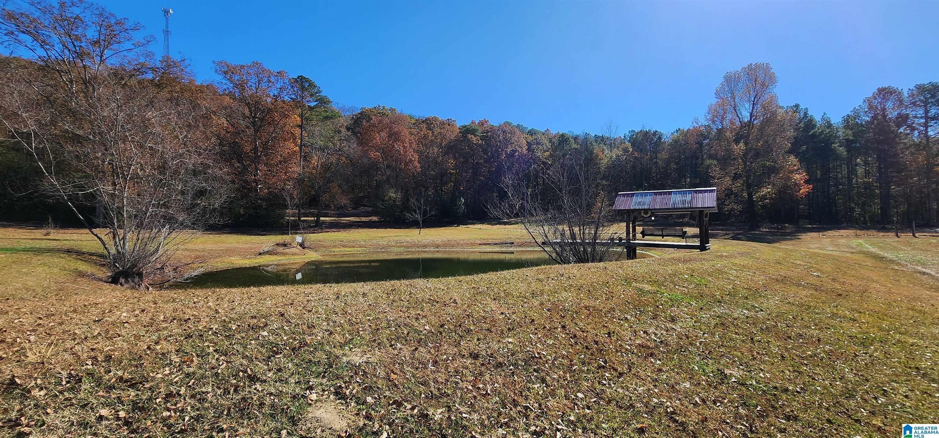 352 Kudzu Road Oneonta, AL 35121 - Photo 46 of 57