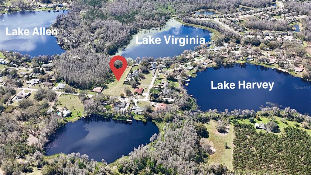 19218 Blount Road Lutz, FL 33558 - Photo 19 of 23 Gallery Image 19