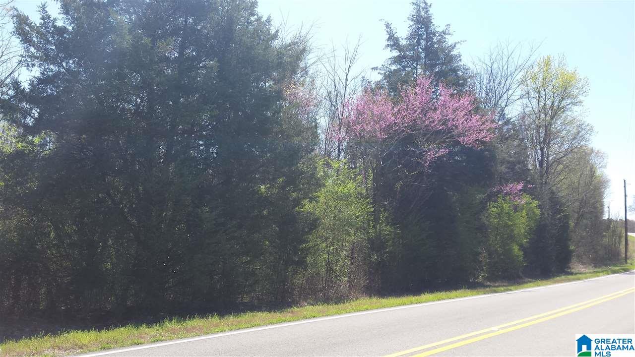 Double Bridge Road, Unit 16 Steele, AL 35987 - Photo 31 of 44