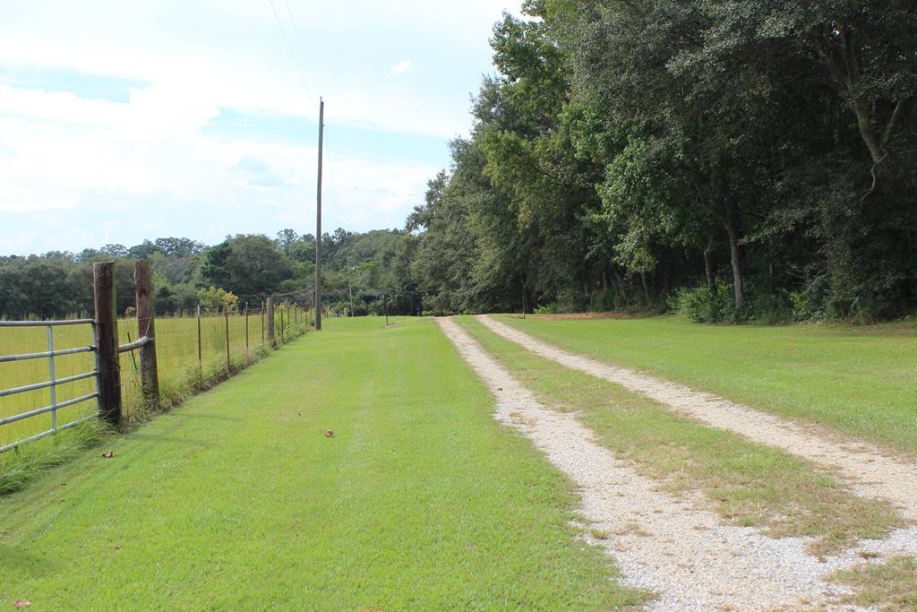 2498 Tindil Creek Road Slocomb, AL 36375 - Photo 5 of 49