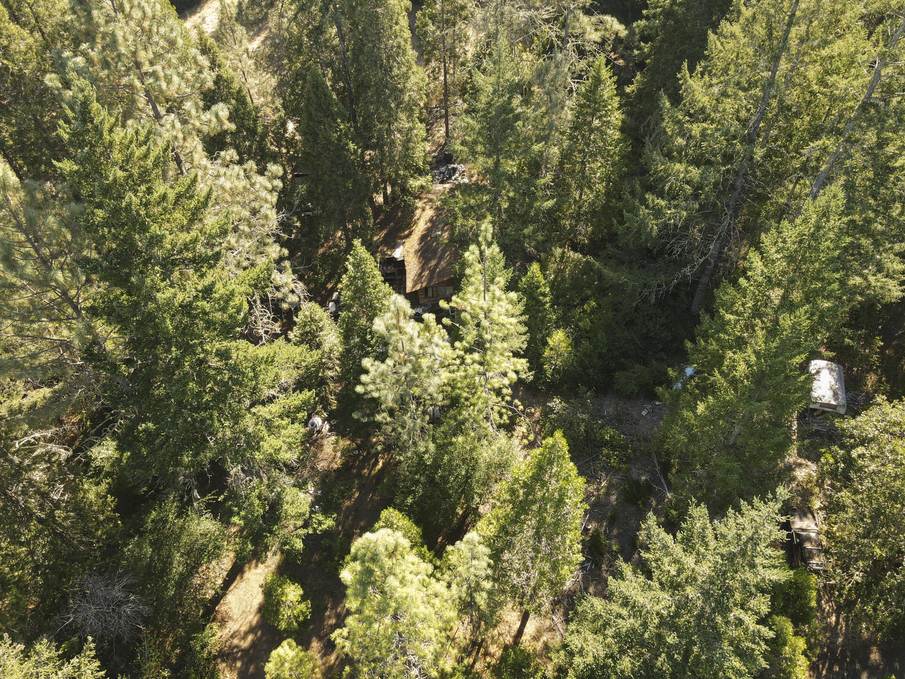 260 Warren Road Selma, OR 97538 - Photo 5 of 9 DJI_0050