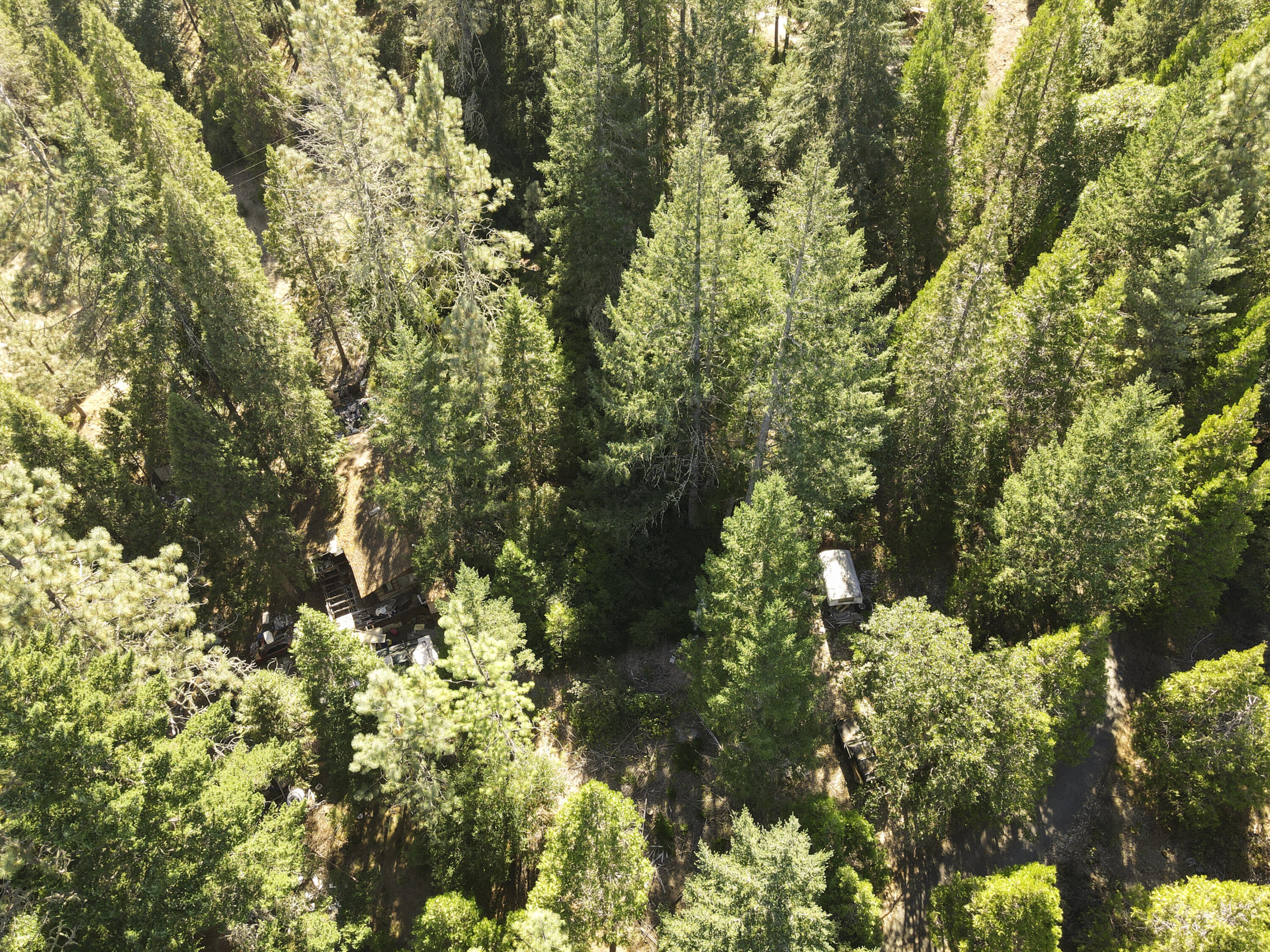 260 Warren Road Selma, OR 97538 - Photo 6 of 9 DJI_0052