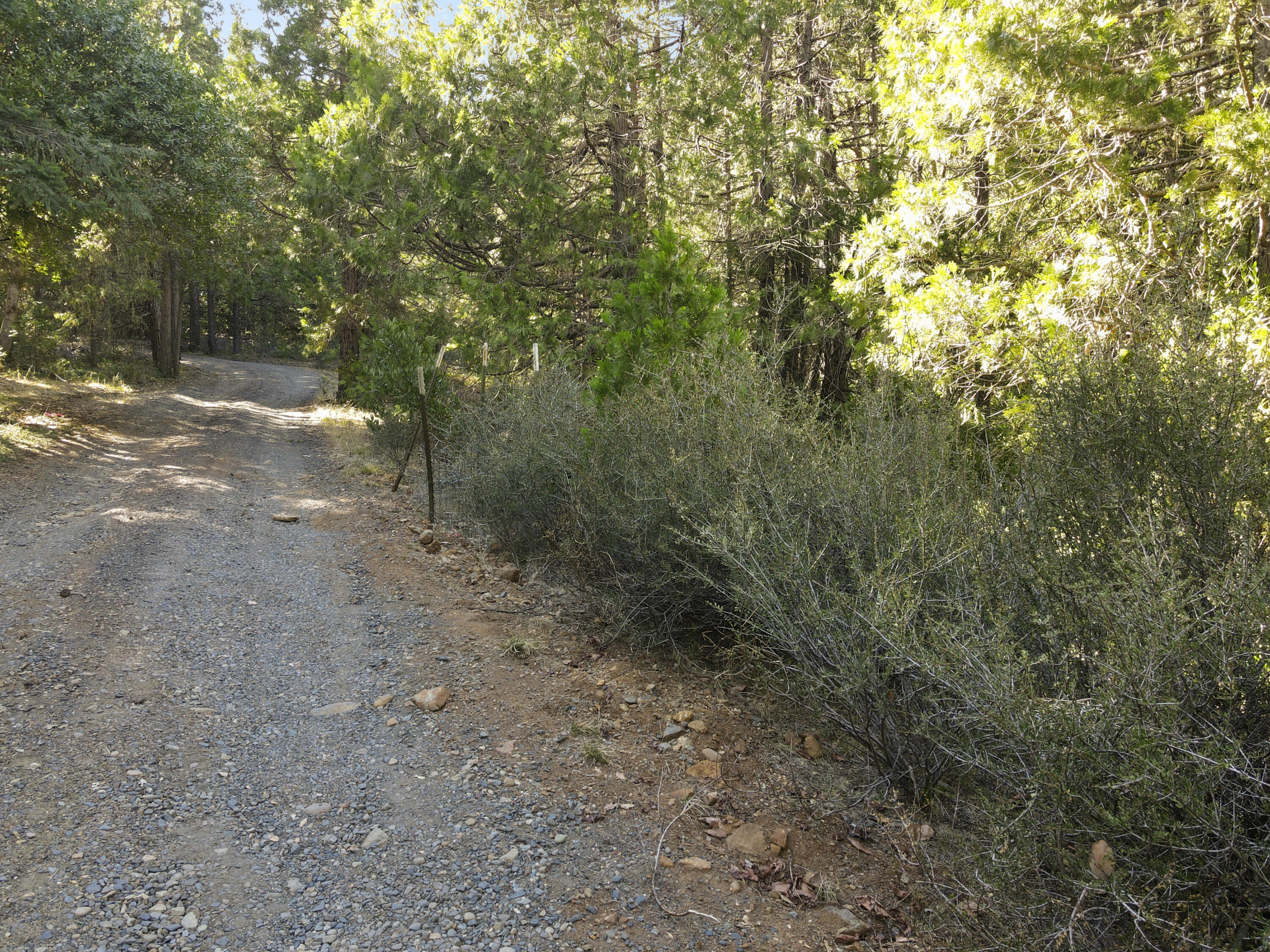 260 Warren Road Selma, OR 97538 - Photo 7 of 9 DJI_0061