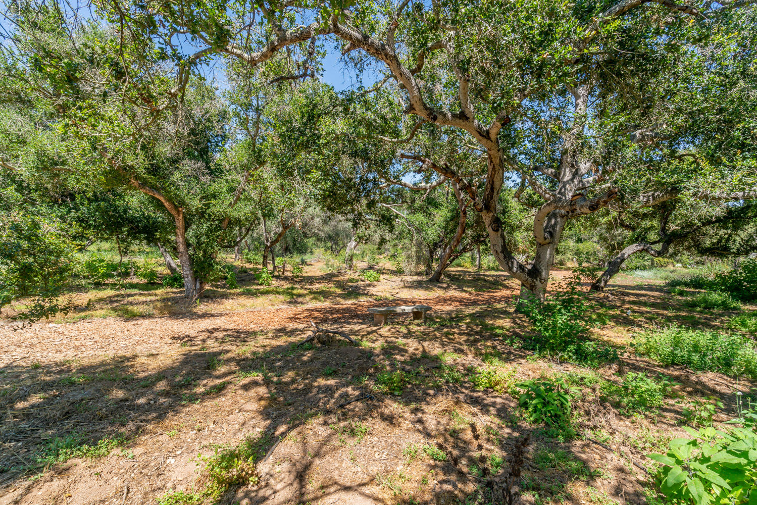 1388 Wyant Road Montecito, CA 93108 - Photo 28 of 34 Adjacent Open Space