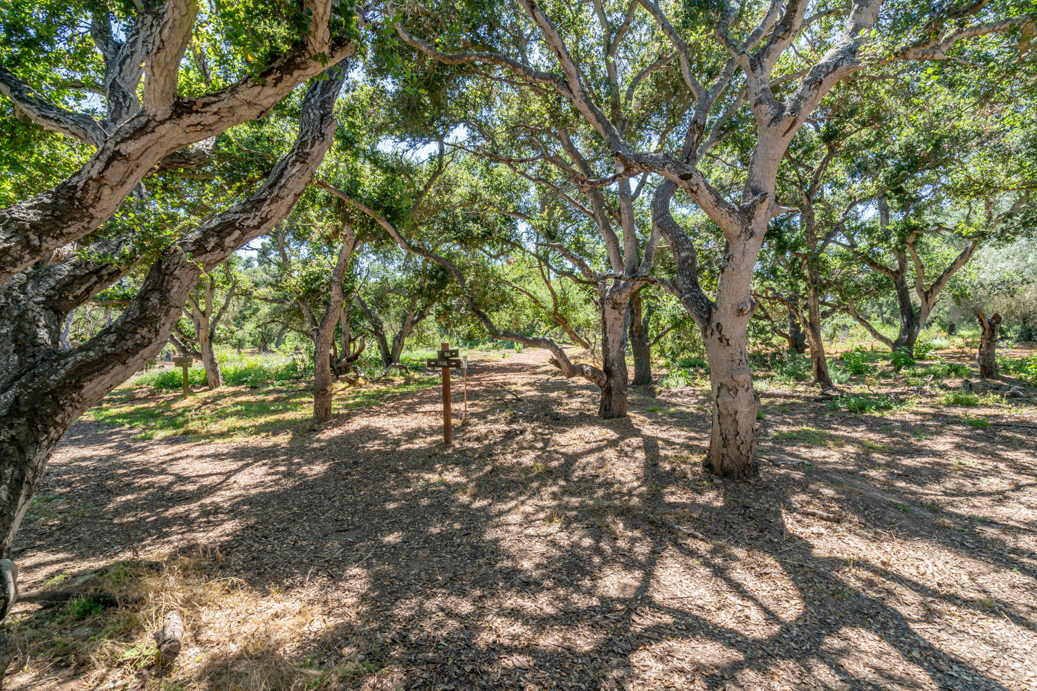 1388 Wyant Road Montecito, CA 93108 - Photo 29 of 34 Scenic Walking Path